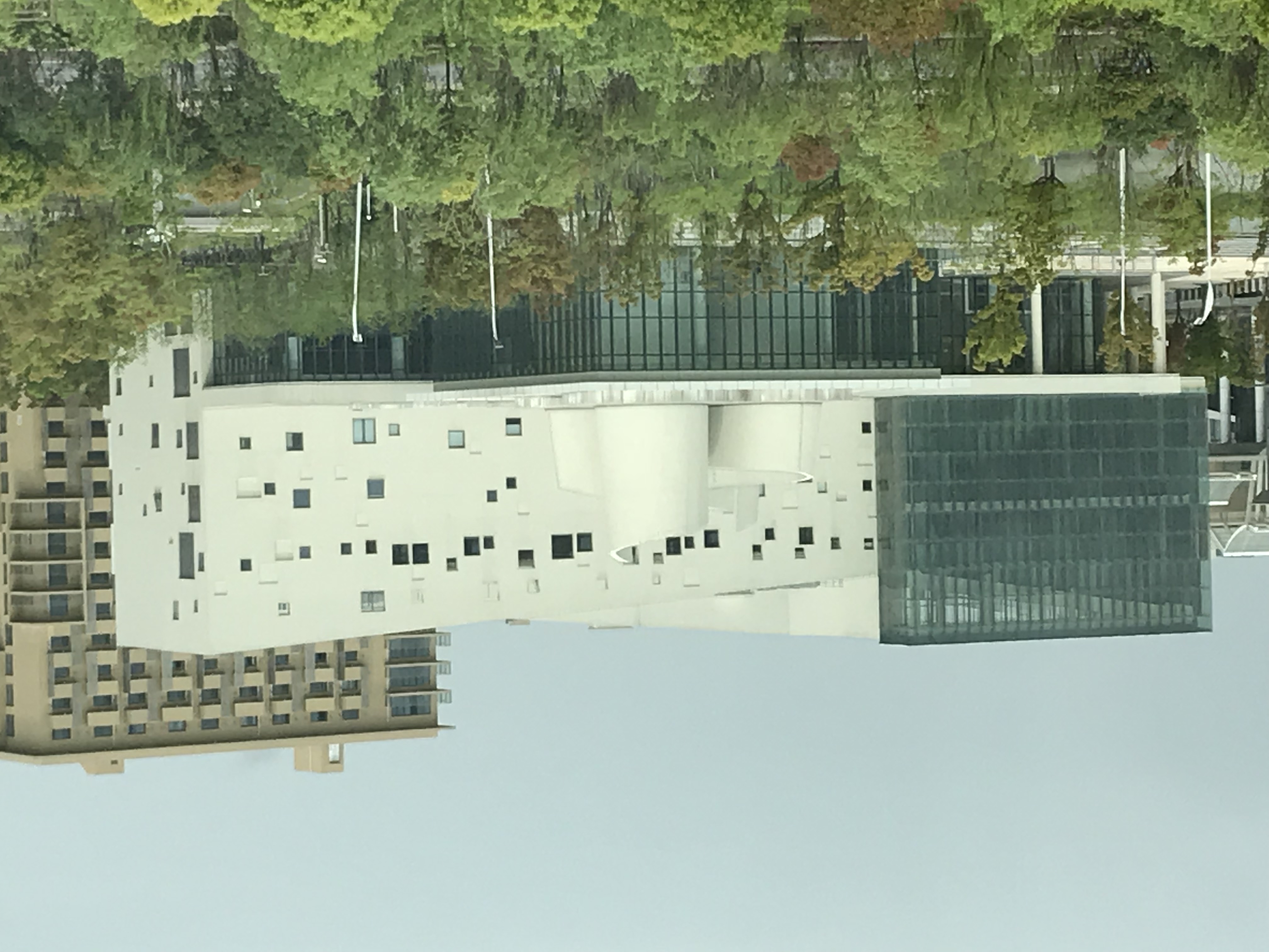 ./2018/03 - Viking China/22 - Shanghai Day 1/IMG_9697.JPG
